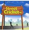 Street Cricket